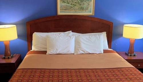 Standard Room, 1 King Bed, Non Smoking, Refrigerator & Microwave