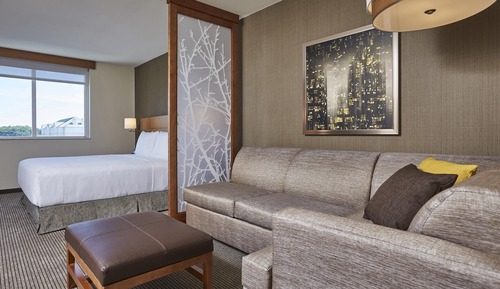 Room, 1 King Bed with Sofa bed
