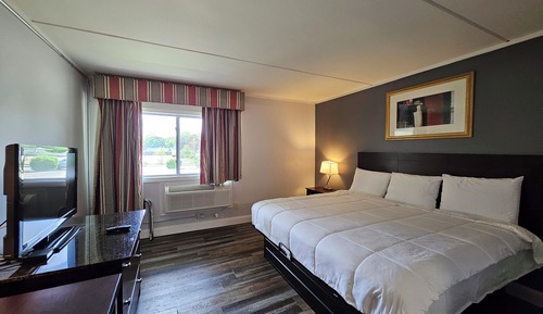Room, 1 King Bed