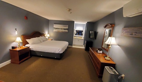 Standard Single Room, 1 King Bed, Partial Lake View
