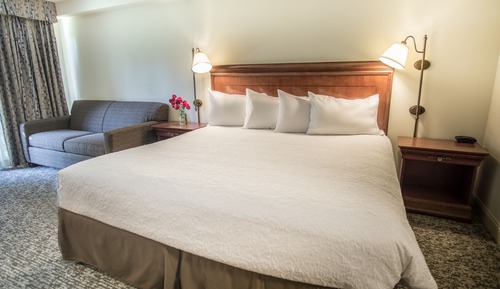 Standard Room, 1 King Bed