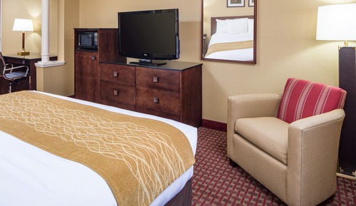 Room, 1 King Bed with Sofa bed, Accessible, Non Smoking