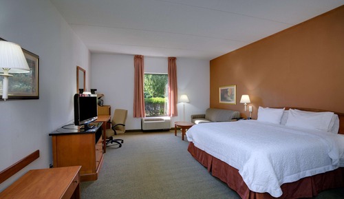 Room, 1 King Bed with Sofa bed, Non Smoking