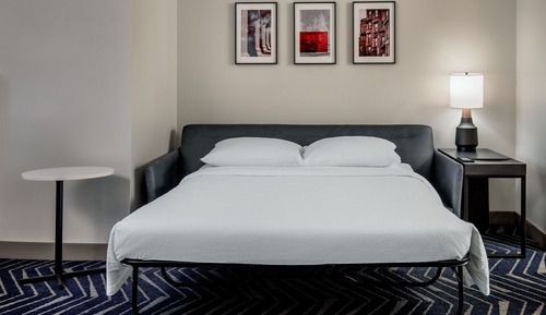 Studio, 1 King Bed with Sofa bed (Mobility Accessible, Roll-In Shower)