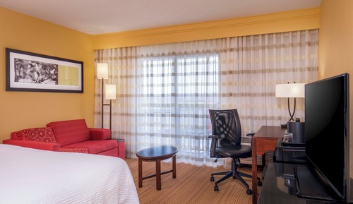 Room, 1 King Bed with Sofa bed