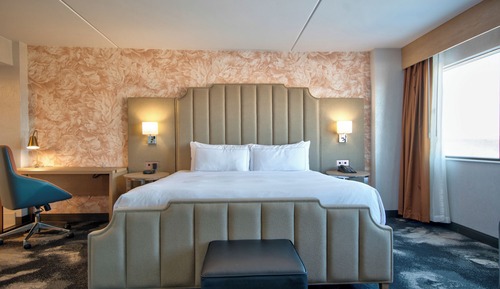 Room, 1 King Bed, Accessible (Roll-In Shower)