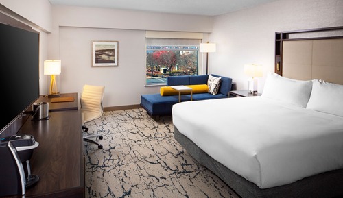 Room, 1 King Bed, Accessible, Bathtub