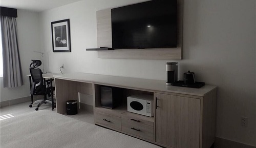 Suite, 1 King Bed, Non Smoking (Efficiency)