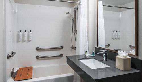 Room, 1 King Bed (Mobility Accessible, Roll-in Shower)