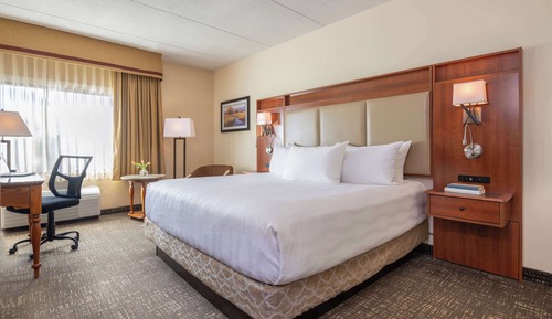 Standard Room, 1 King Bed, Non Smoking, Refrigerator (Pet Friendly)