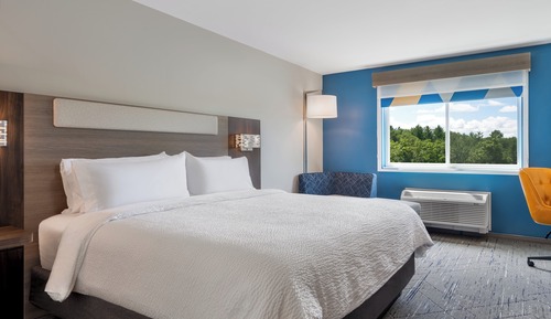 Standard Room, 1 King Bed, Roll-in Shower (Mobility, Roll-In Shower)