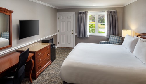Room, 1 King Bed, Mobility Accessible, Non Smoking (Mobility, Roll-in Shower)