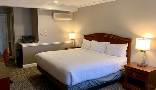 Room, 1 King Bed, Non Smoking