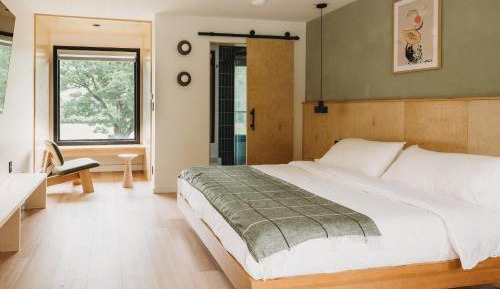 Deluxe King Suite