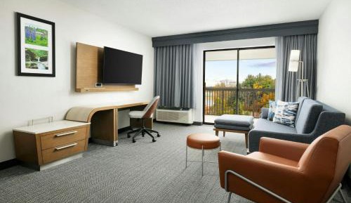 One-Bedroom King Suite with Sofa Bed