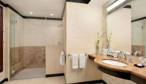 Luxury One-Bedroom King Sute with Roll-In Shower and Sofa Bed - Mobility Accessible