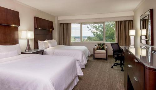 Premium Room, Guest room, 2 Double, Lake view