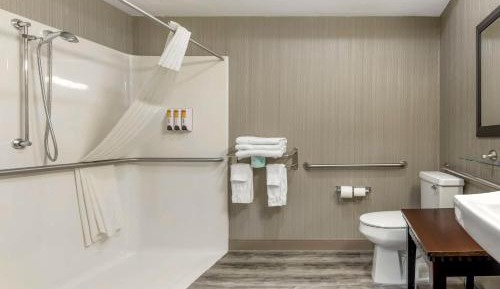 King Suite with Roll-In Shower and Sofa Bed - Disability/Non-Smoking