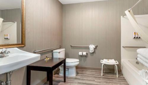 Double Room with Two Double Beds and Bath Tub - Mobility Accessible/Non-Smoking