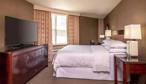 Guest room, 1 Queen