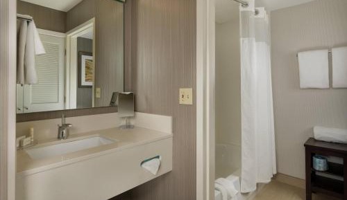 One-Bedroom King Suite with Two Sofa Beds