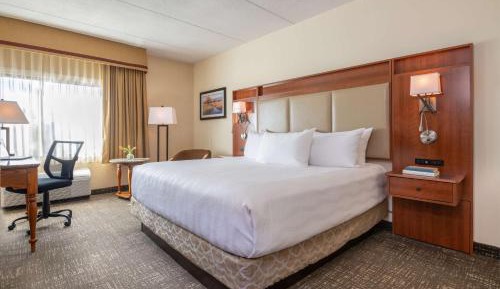 King Room - Pet Friendly/Non-Smoking