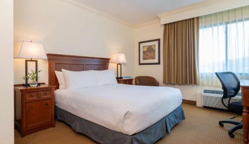 Queen Room with Roll-In Shower - Disability Access