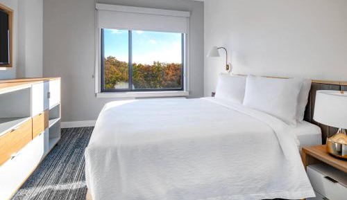 1 Bedroom Suite, 1 Queen, Sofa bed