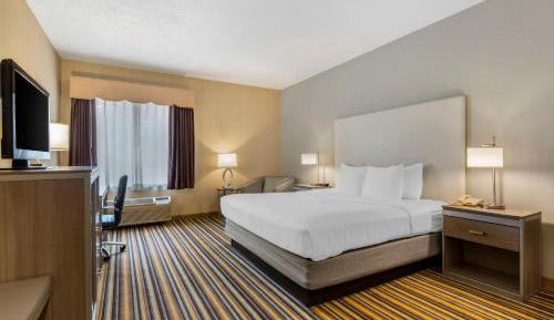 King Room - Non-Smoking