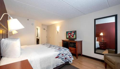 Standard Room with One Double Bed Disability Access Roll-In Shower Smoke Free