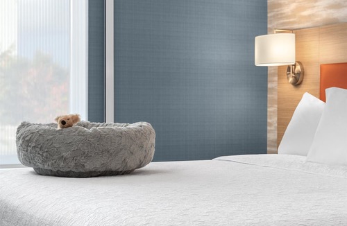 Rosemount Hotel | Home2 Suites By Hilton Kitchener