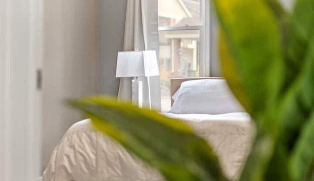 Spacious fully remodeled king size bed apartment Sleeps four